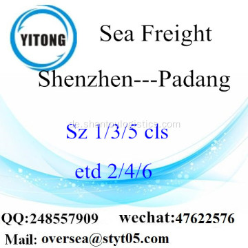 Shenzhen-Hafen LCL Konsolidierung nach Padang